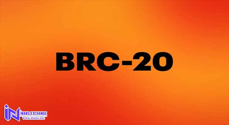 سرمایه گذاری روی توکن های BRC-20