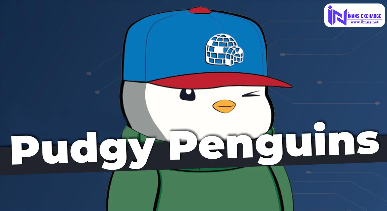 مجموعه Pudgy Penguins