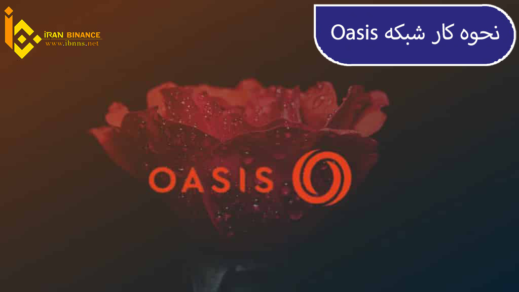 شبکه Oasis(ROSE) 