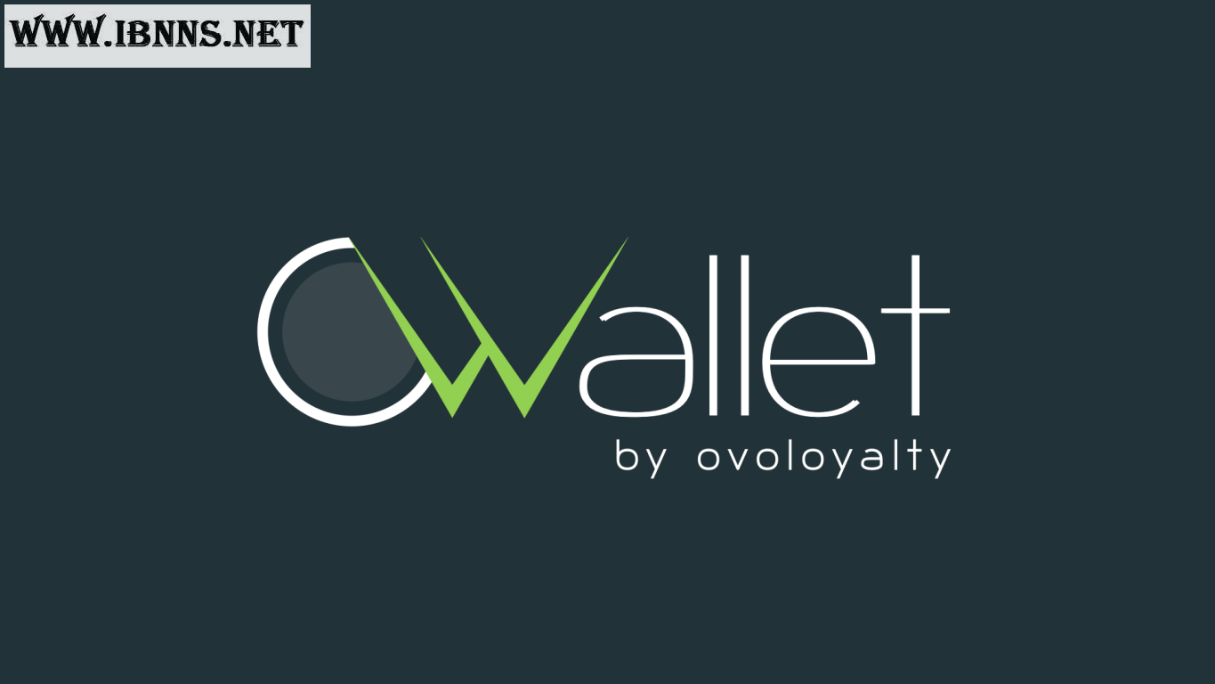 کیف پول انتولوژی چیست؟ | انواع کیف پول ONG | کیف پول OWallet