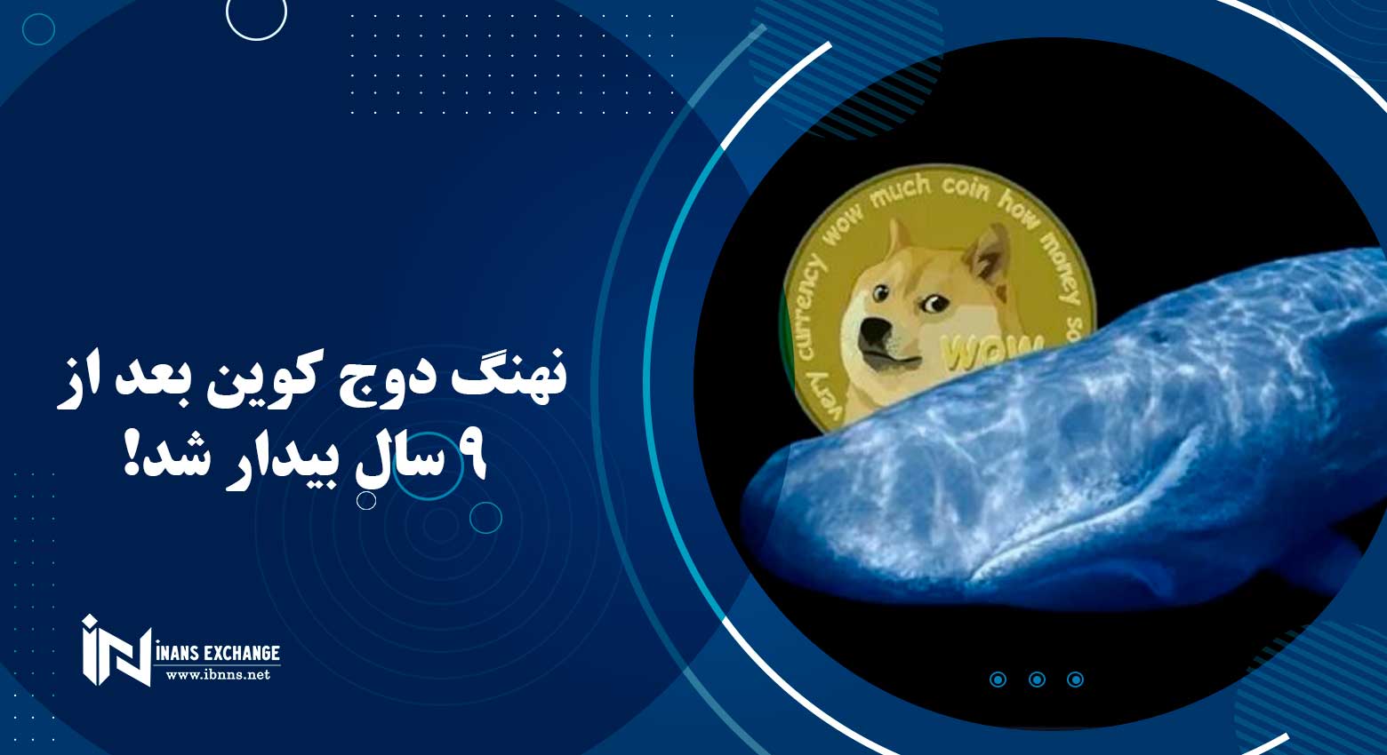 نهنگ دوج کوین بعد از 9 سال بیدار شد!