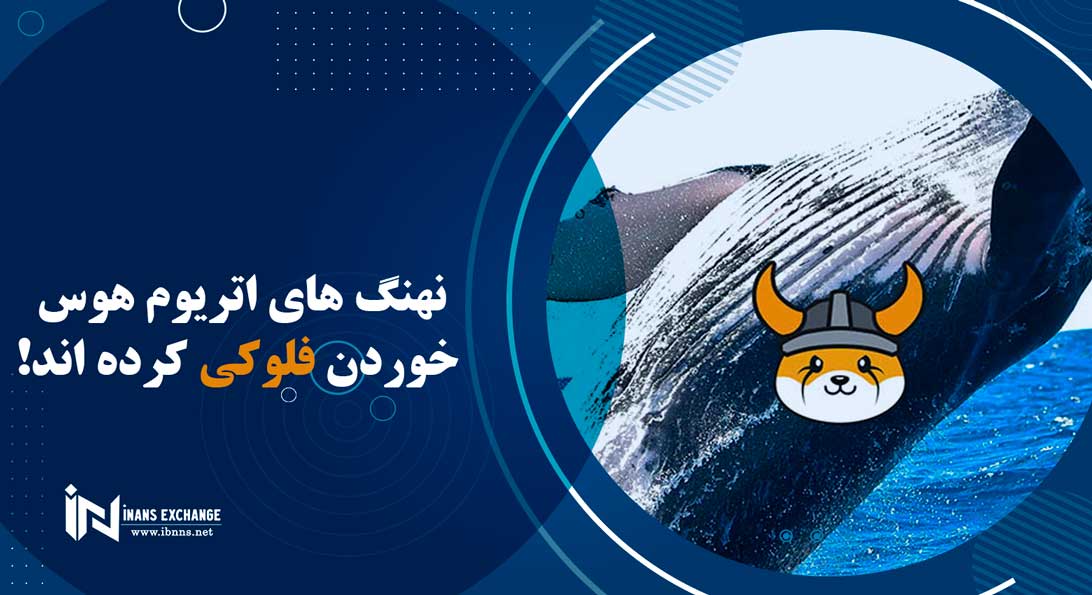 نهنگ های اتریوم هوس خوردن فلوکی کرده اند!