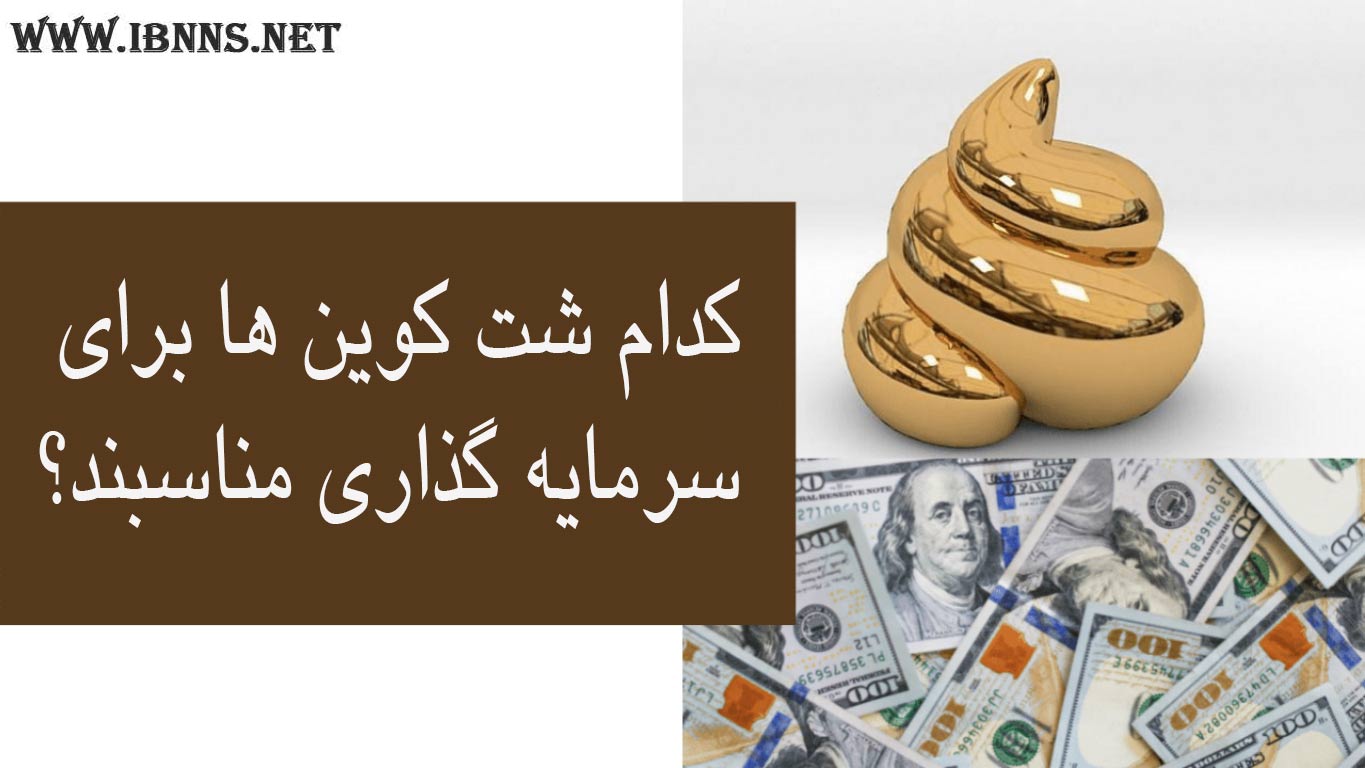  معرفی بهترین شت کوین ها برای سرمایه گذاری (کدام شت کوین ها را بخریم تا سود کنیم)