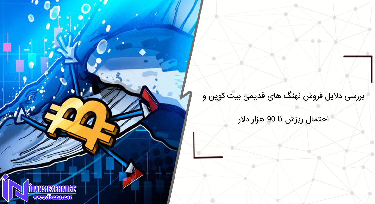 بررسی دلایل فروش نهنگ های قدیمی بیت کوین و احتمال ریزش قیمت تا 90 هزار دلار
