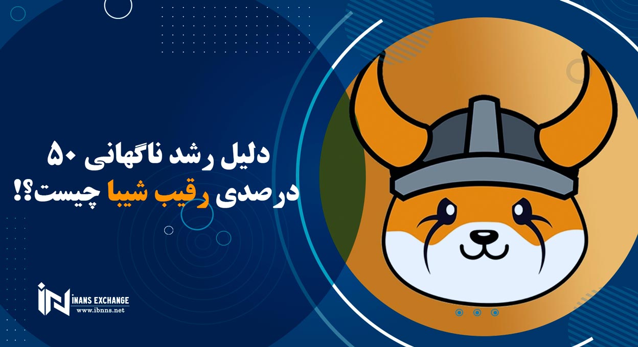 دلیل رشد ناگهانی 50 درصدی رقیب شیبا یعنی فلوکی چیست؟!
