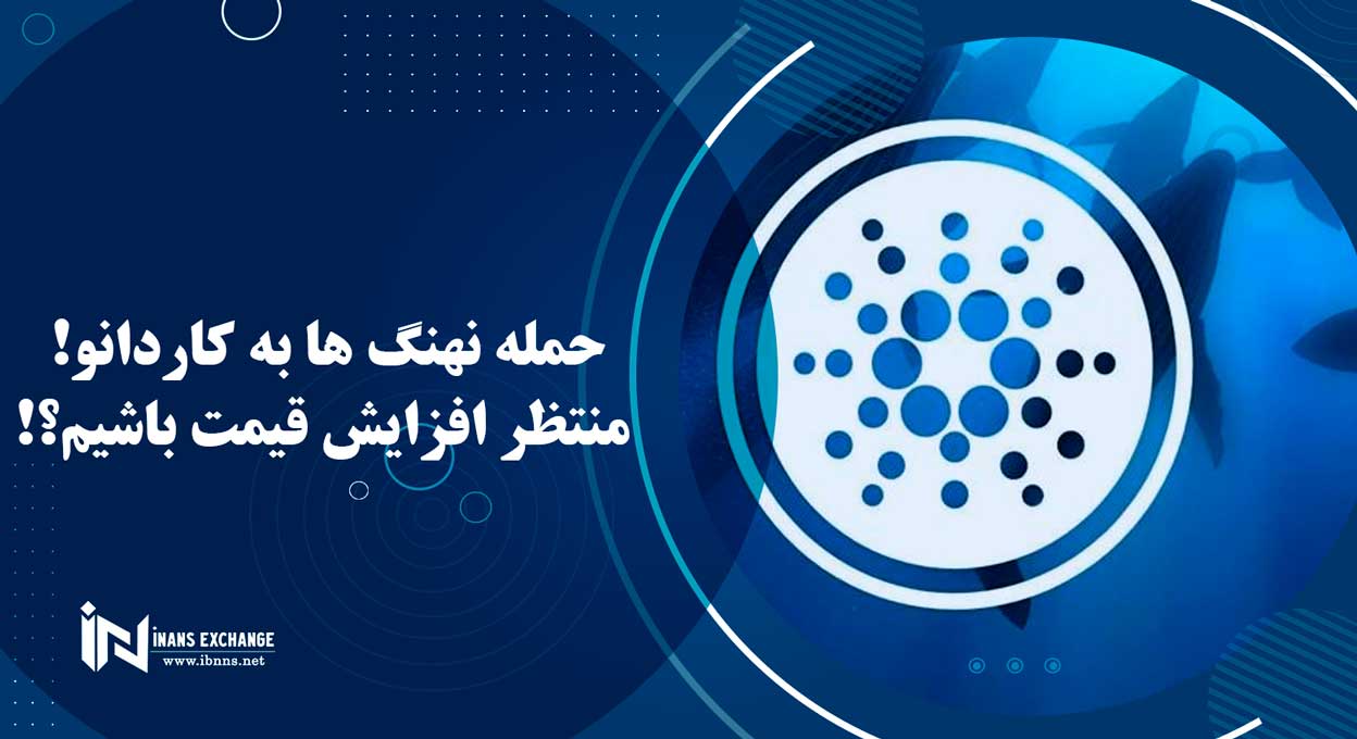 حمله نهنگ ها به کاردانو! منتظر افزایش قیمت باشیم؟!