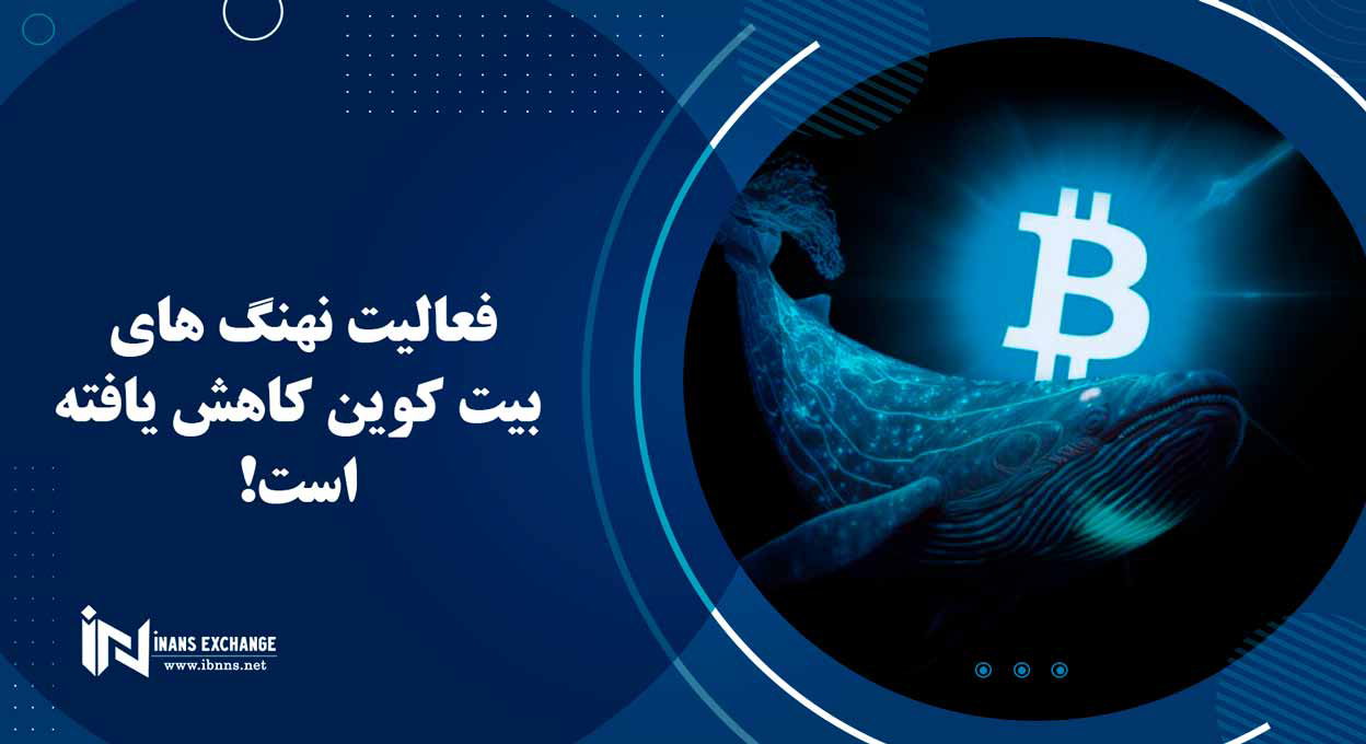 فعالیت نهنگ های بیت کوین کاهش یافته است