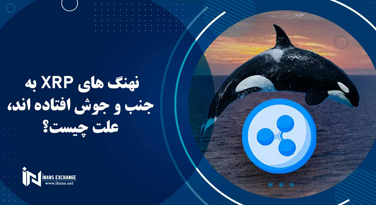 نهنگ های XRP به جنب و جوش افتاده اند، علت چیست؟