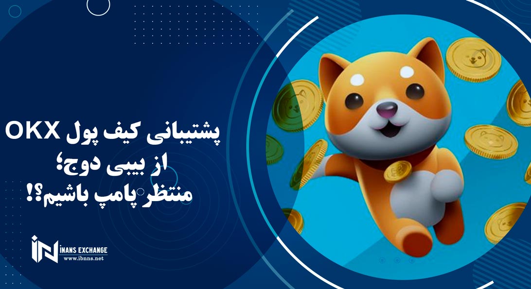 پشتیبانی کیف پول OKX از بیبی دوج؛ منتظر پامپ باشیم؟!