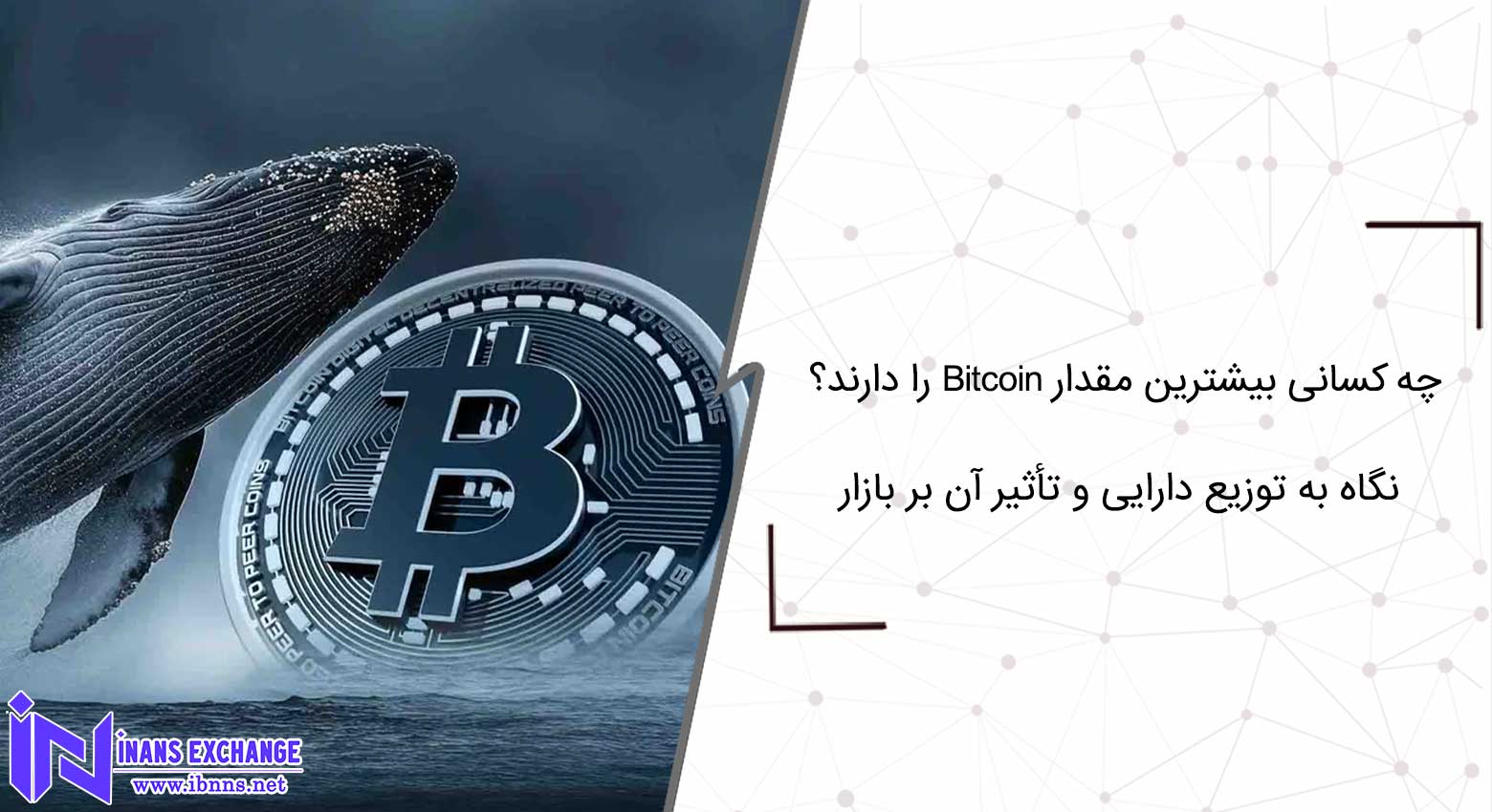 چه کسانی بیشترین مقدار Bitcoin را دارند؟ نگاه به توزیع دارایی و تأثیر آن بر بازار