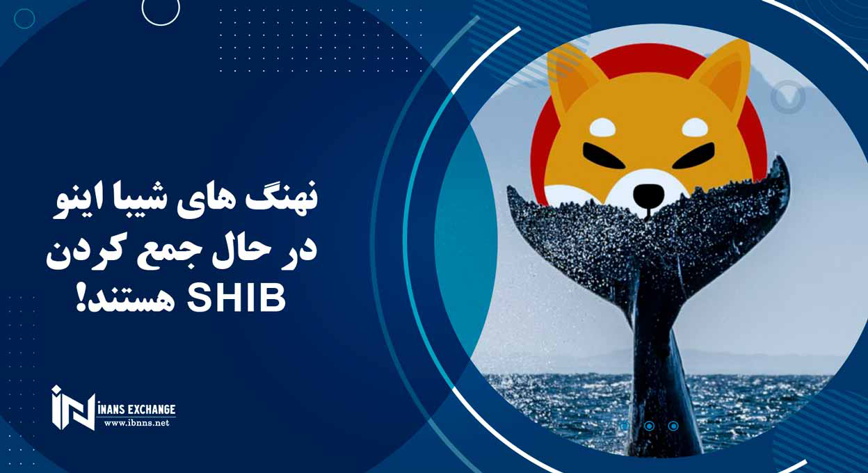 نهنگ های شیبا اینو در حال جمع کردن SHIB هستند