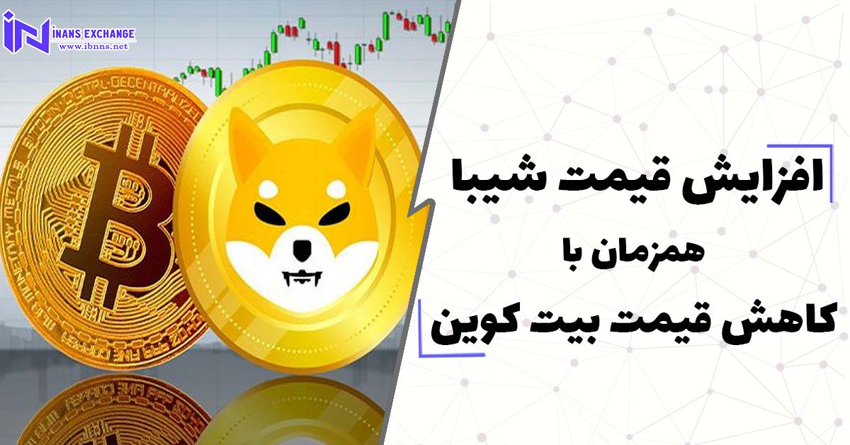 افزایش قیمت شیبا اینو همزمان با روند صعودی فروش و کاهش قیمت بیت کوین