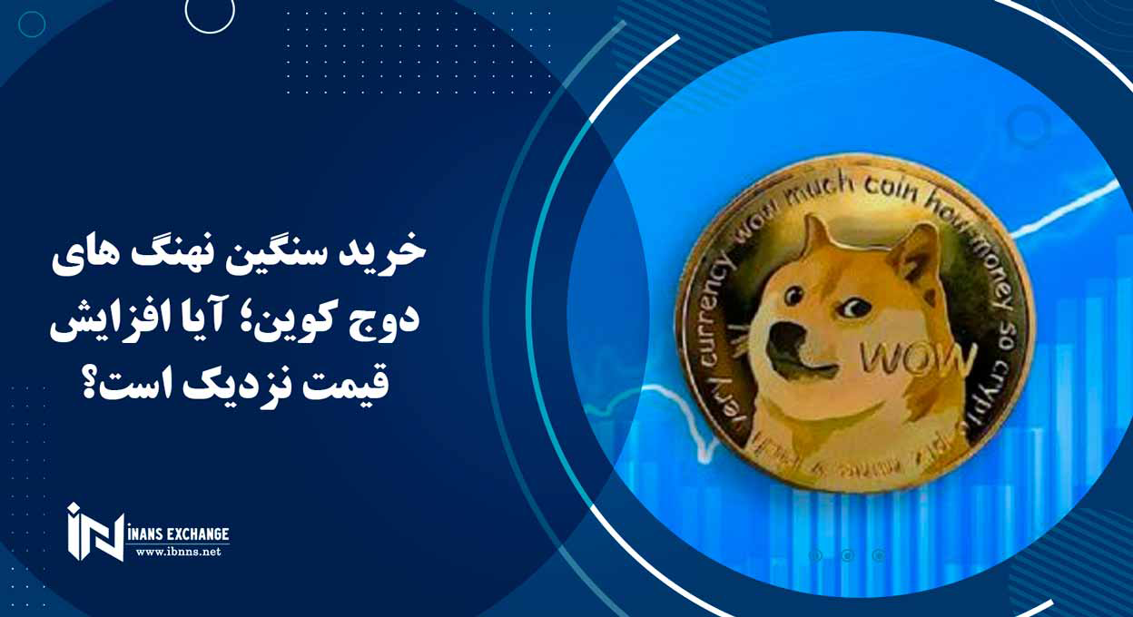 خرید سنگین نهنگ های دوج کوین؛ آیا افزایش قیمت نزدیک است؟