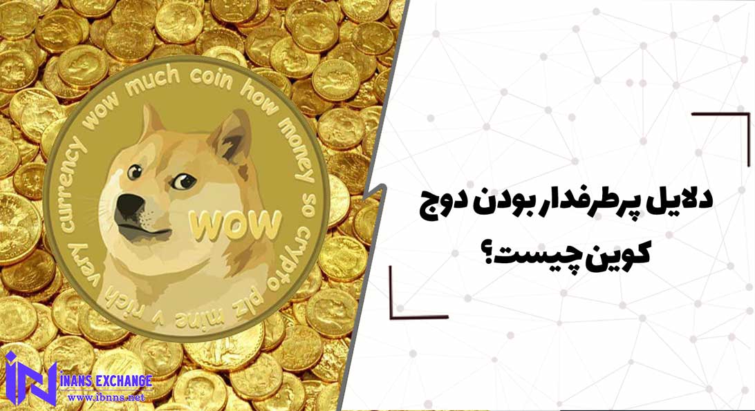 دلایل پرطرفدار بودن دوج کوین چیست؟
