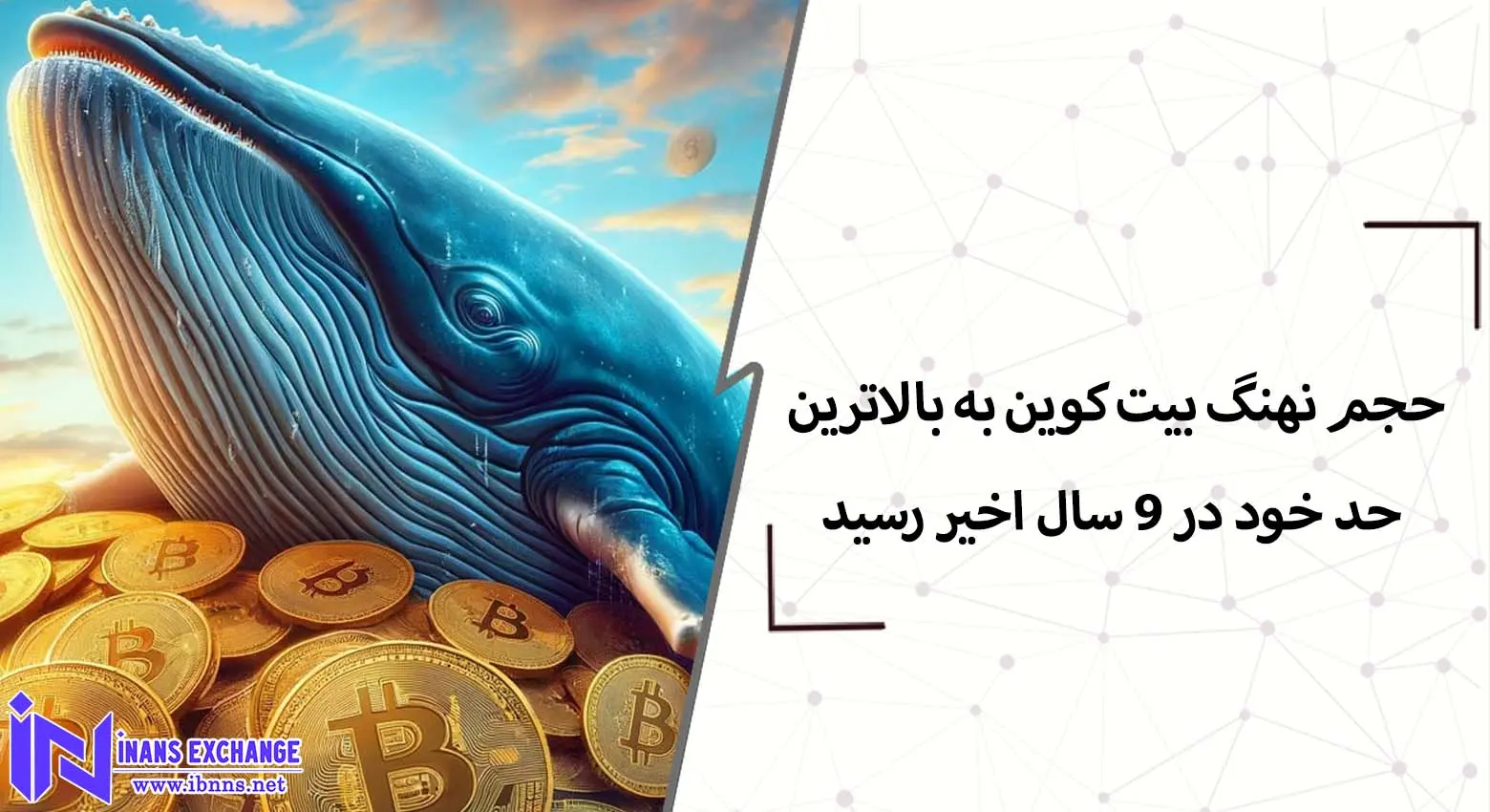  حجم نهنگ بیت کوین به بالاترین حد خود در 9 سال اخیر رسید