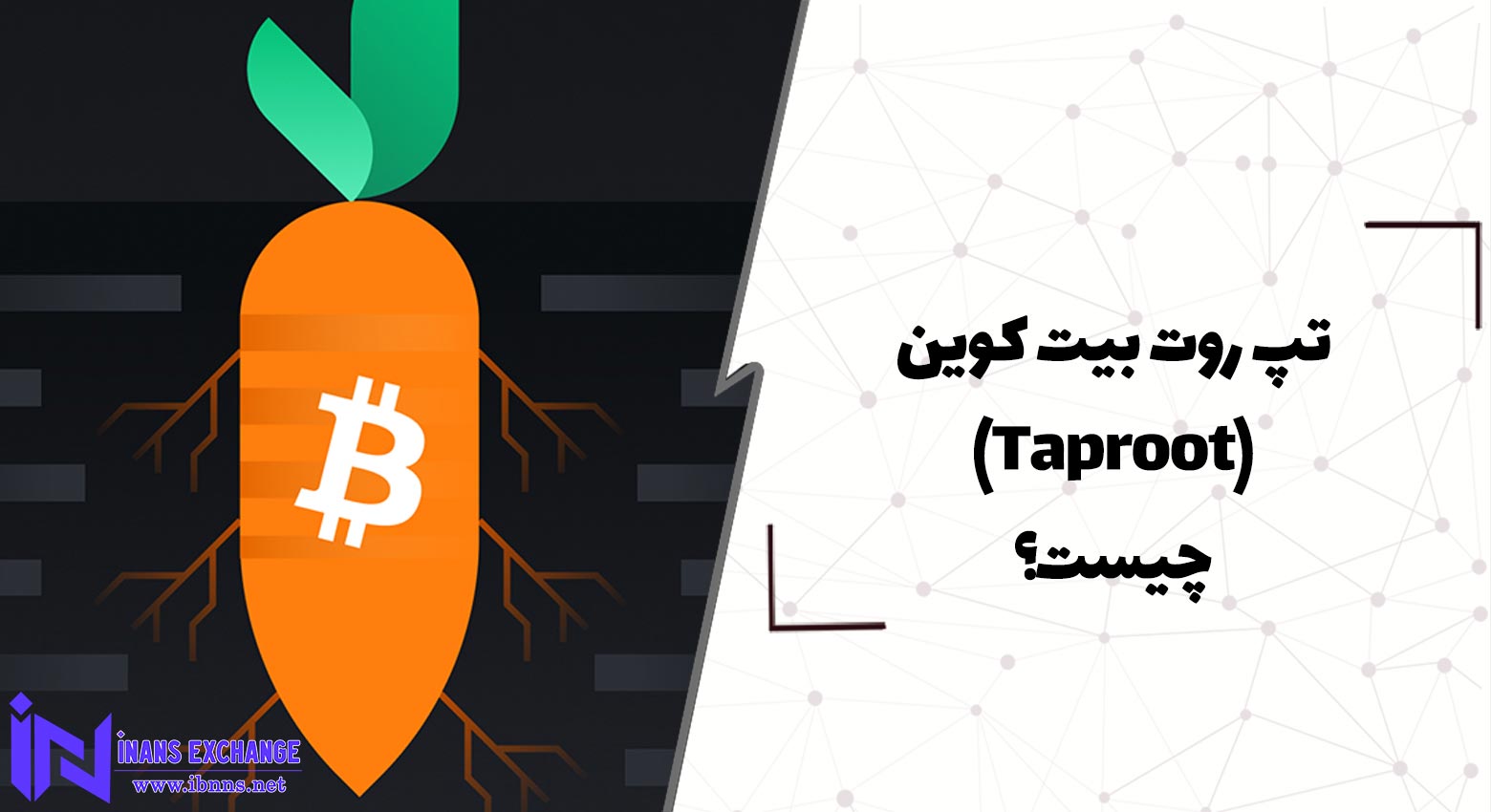  تپ روت بیت کوین(Taproot) چیست؟