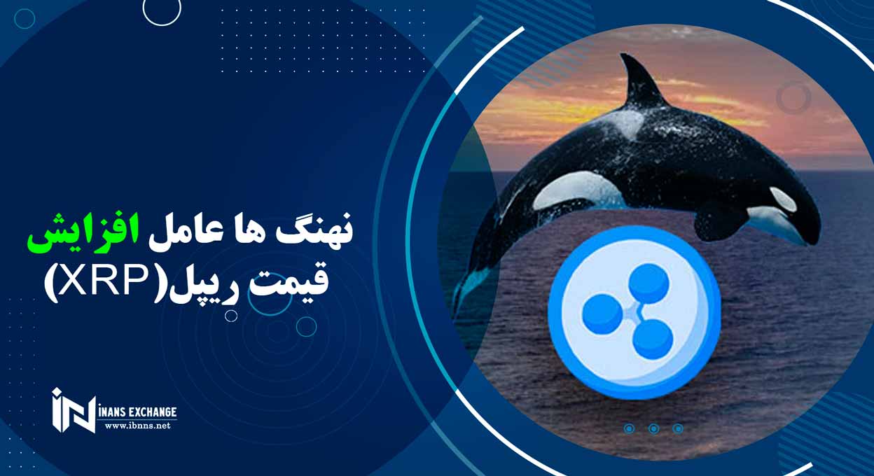  نهنگ ها عامل افزایش قیمت ریپل(XRP)