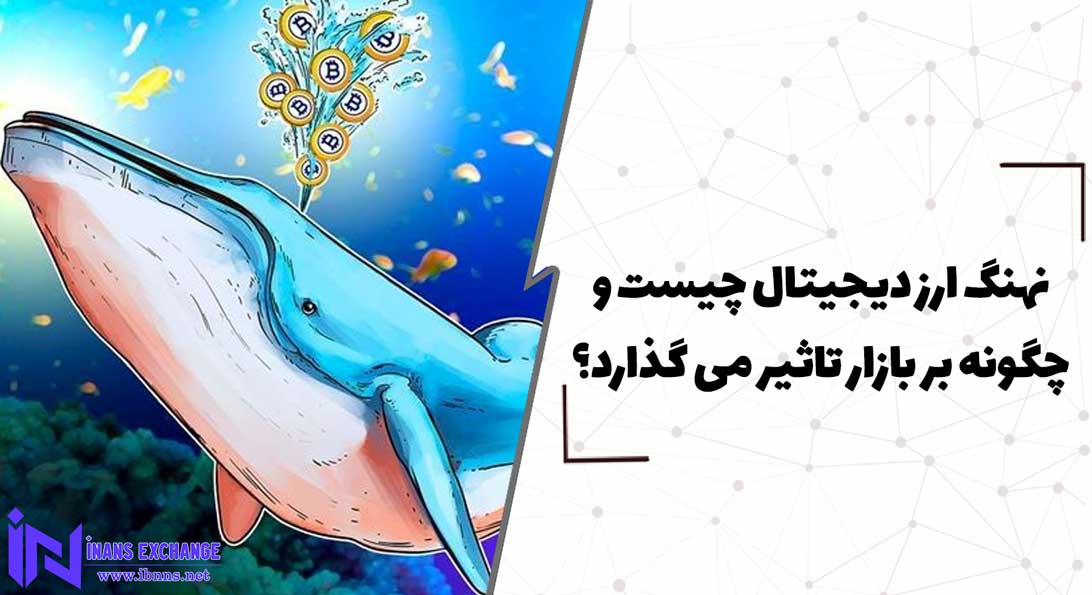  نهنگ ارز دیجیتال چیست و چگونه بر بازار تاثیر می گذارد؟