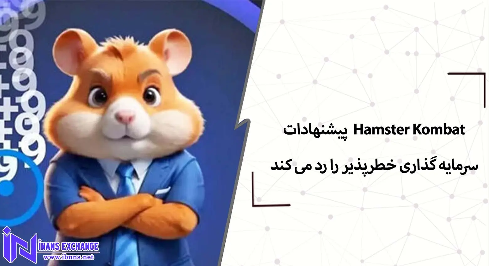 Hamster Kombat پیشنهادات سرمایه گذاری خطرپذیر را رد می کند