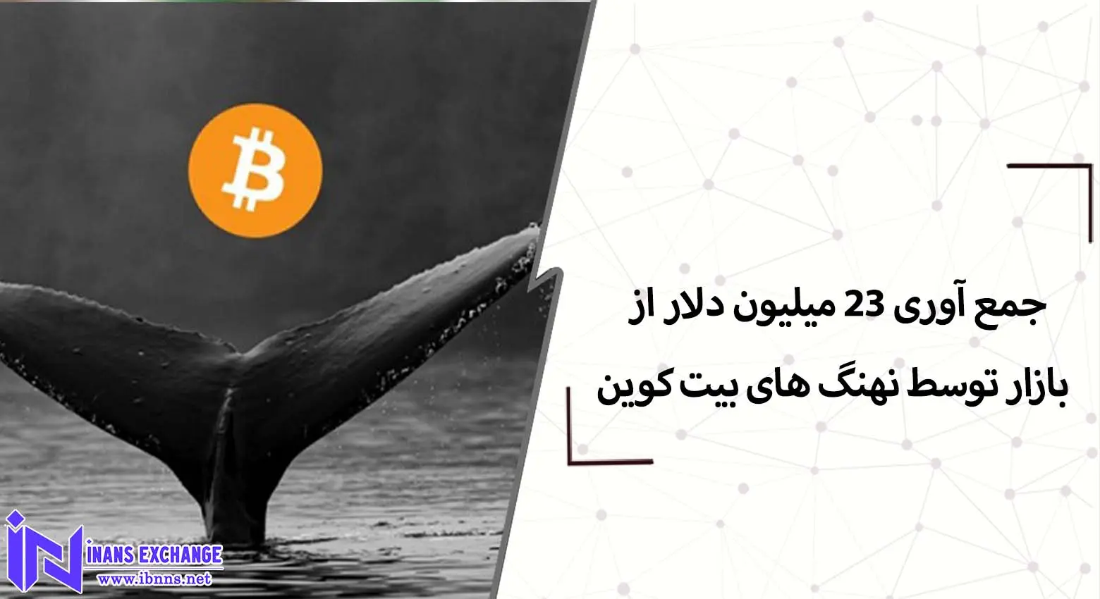  جمع آوری بیت کوین توسط نهنگ ها نشانگر چیست؟