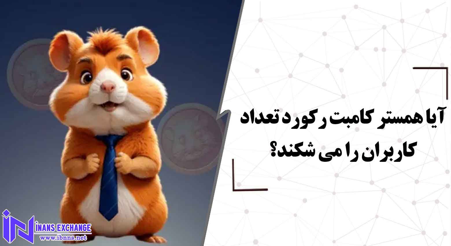  همستر کامبت چگونه رکورد تعداد کاربران را شکست؟