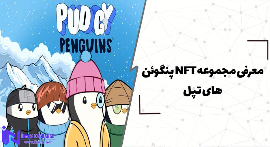 معرفی مجموعه NFT پنگوئن های تپل (Pudgy Penguins)