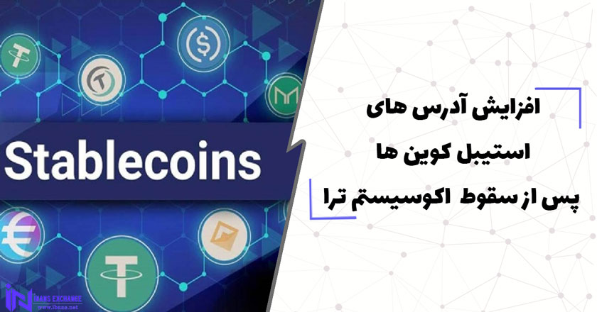  افزایش آدرس ‌های فعال استیبل کوین ها پس از سقوط اکوسیستم ترا