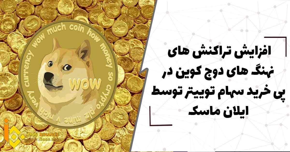  افزایش تراکنش های نهنگ های دوج کوین در پی خرید سهام توییتر توسط ماسک