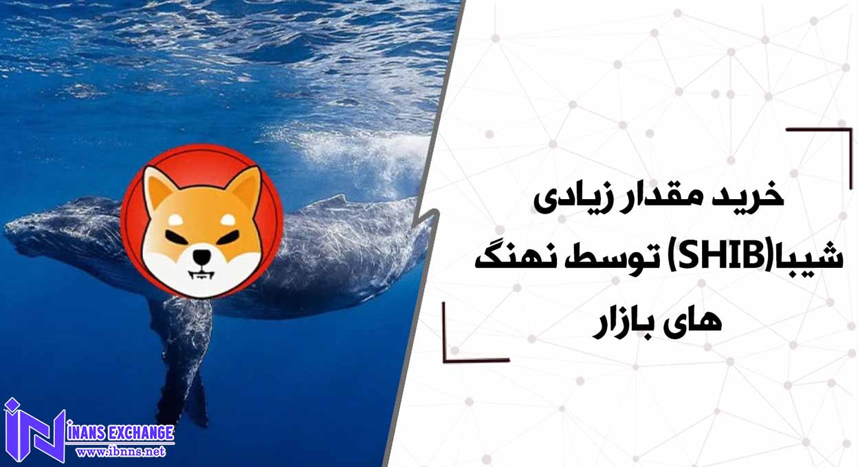  خرید مقدار زیادی شیبا(SHIB) توسط نهنگ های بازار