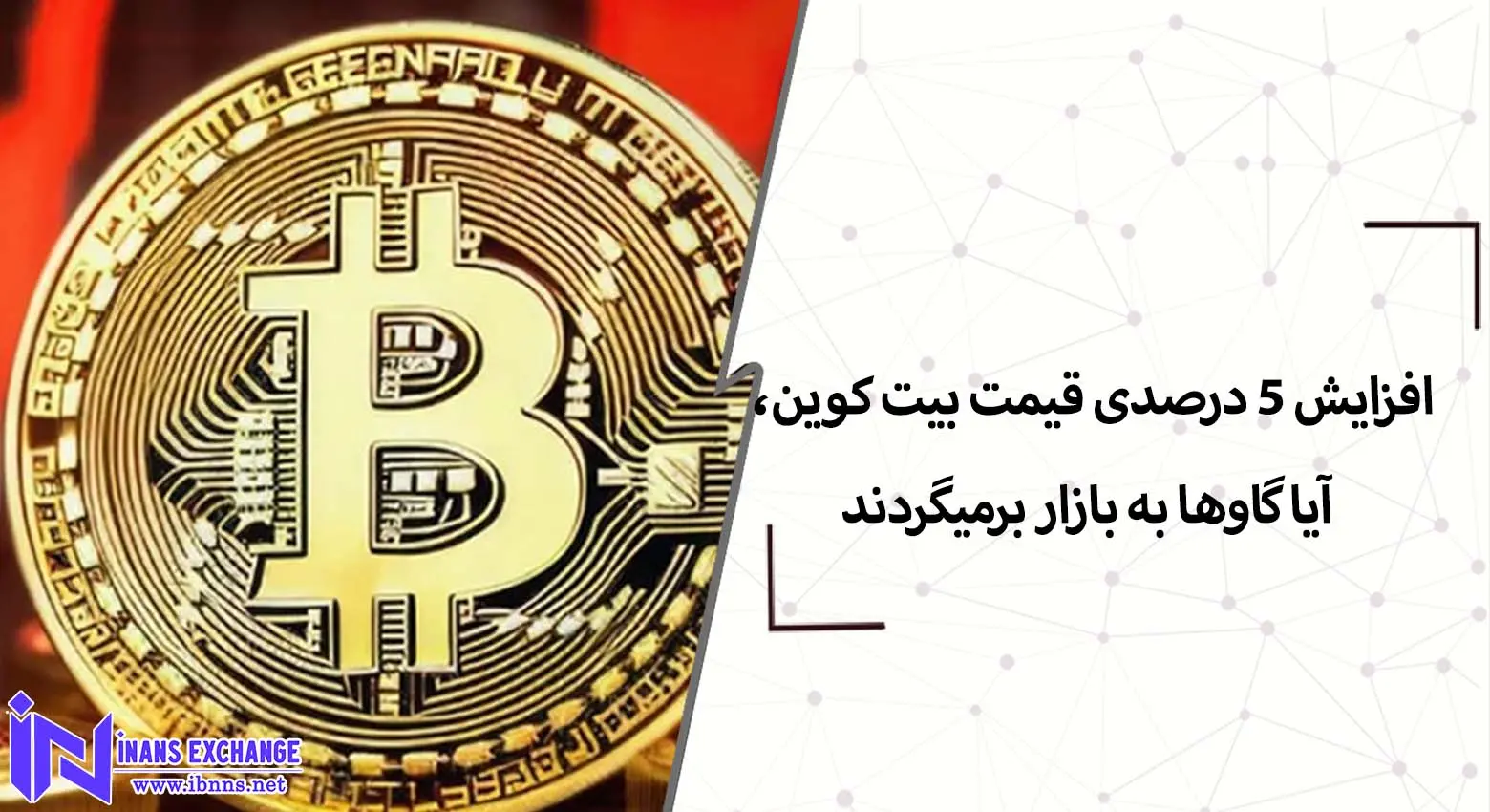 افزایش 5 درصدی قیمت بیت کوین، آیا گاوها به بازار برمیگردند