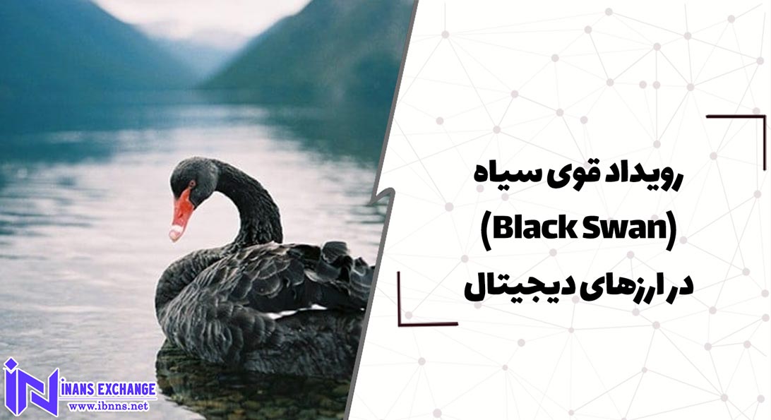 رویداد قوی سیاه(Black Swan) در ارزهای دیجیتال