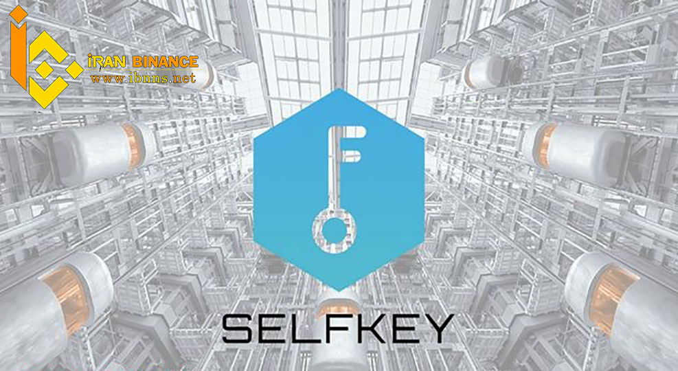 ارز دیجیتال سلف کی چیست؟ | بررسی کامل پروژه یKEY| بررسی قیمت و آینده selfkey