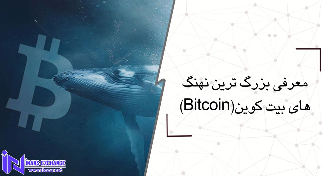  معرفی بزرگ ترین نهنگ های بیت کوین(Bitcoin)