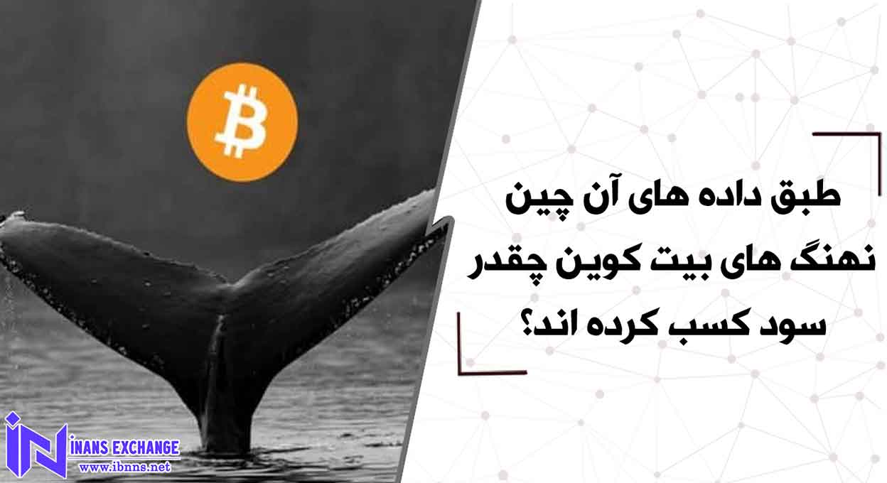  طبق داده های آن چین نهنگ های بیت کوین چقدر سود کسب کرده اند؟